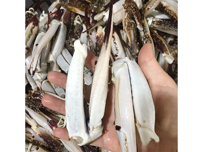 海洋水產